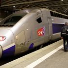 TGV POS (VII)