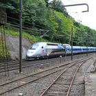 TGV POS (XIII)