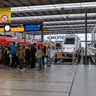 TGV POS (XV)