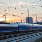 TGV POS (XXIII)