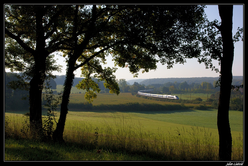 TGV Province - Province - I