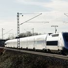 TGV - toller Glint vorausgesetzt? ;o)