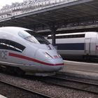 TGV und ICE