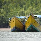 Thai Boote