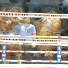 Thai Boxing