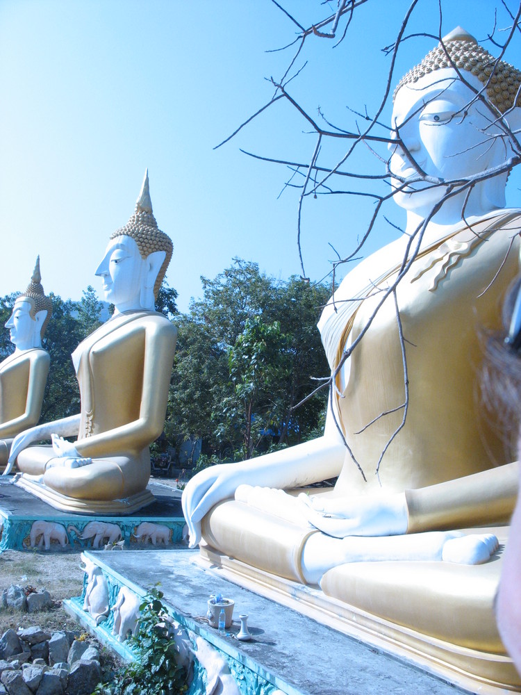 thai buddhas