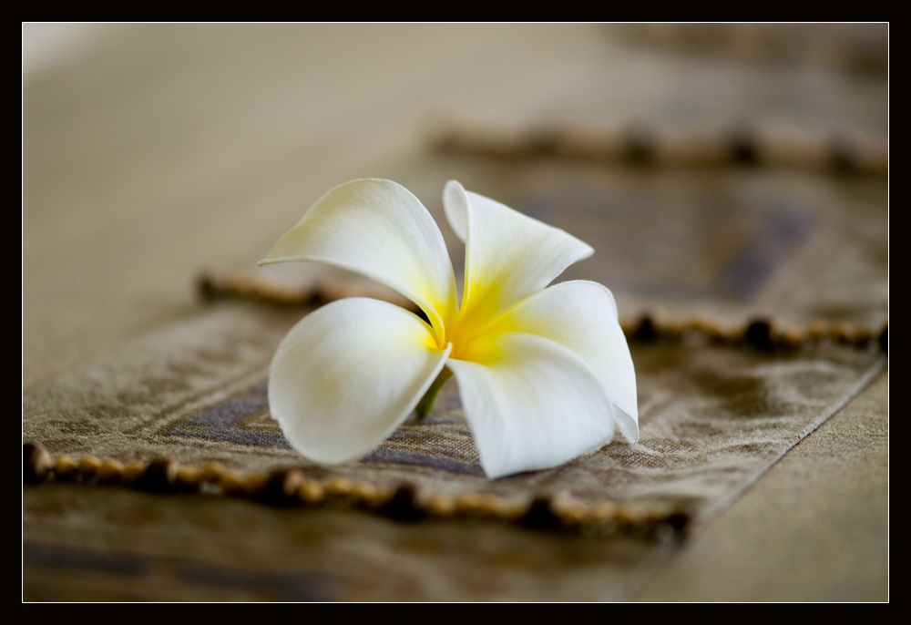 Thai-Flower