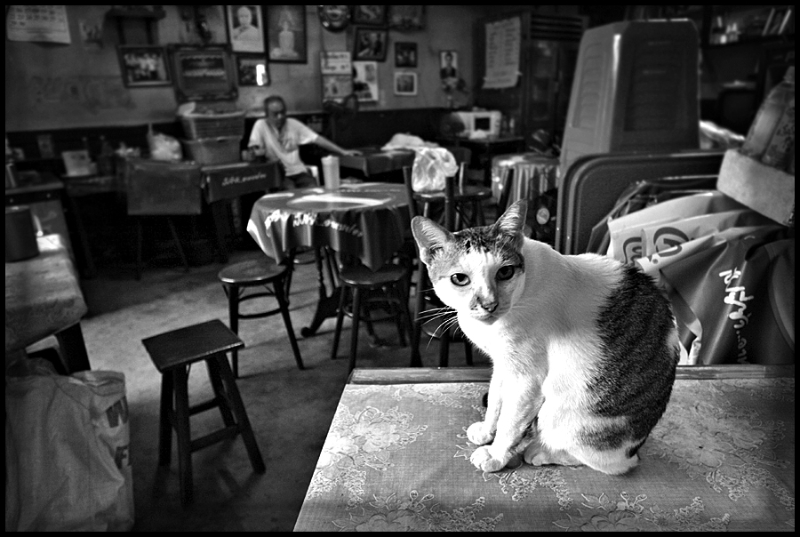 Thai restaurant, waiting for customers