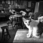 Thai restaurant, waiting for customers