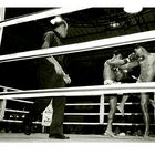 thaiboxen #10