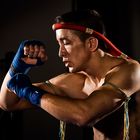 Thaiboxer I
