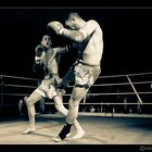 Thaiboxgala Worb