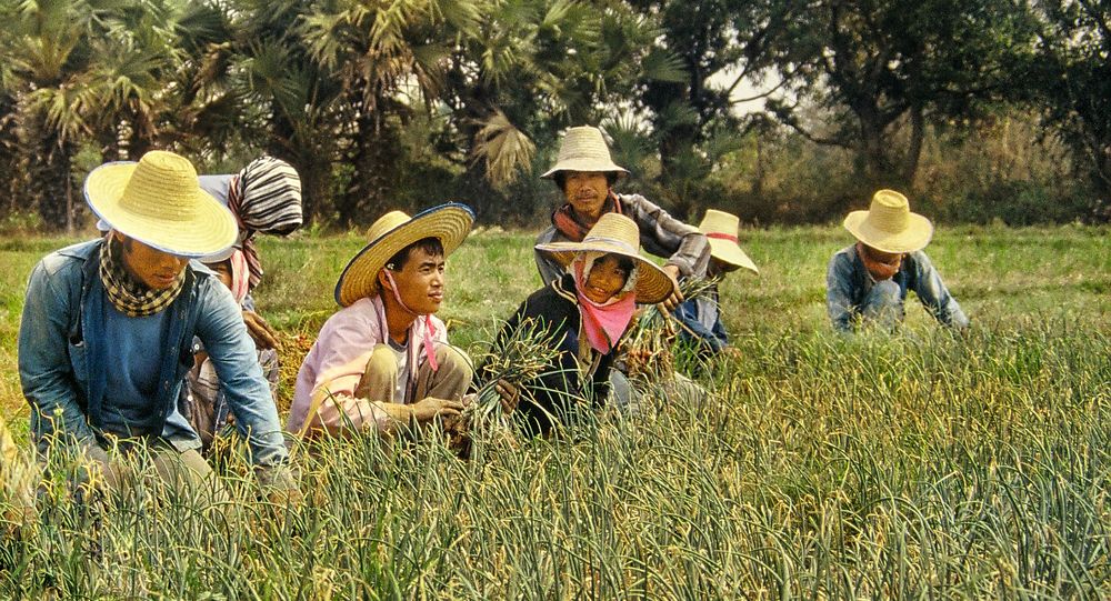 Thailändische Bauern