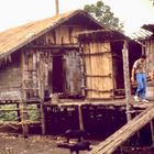 Thailand (1983), Trekking