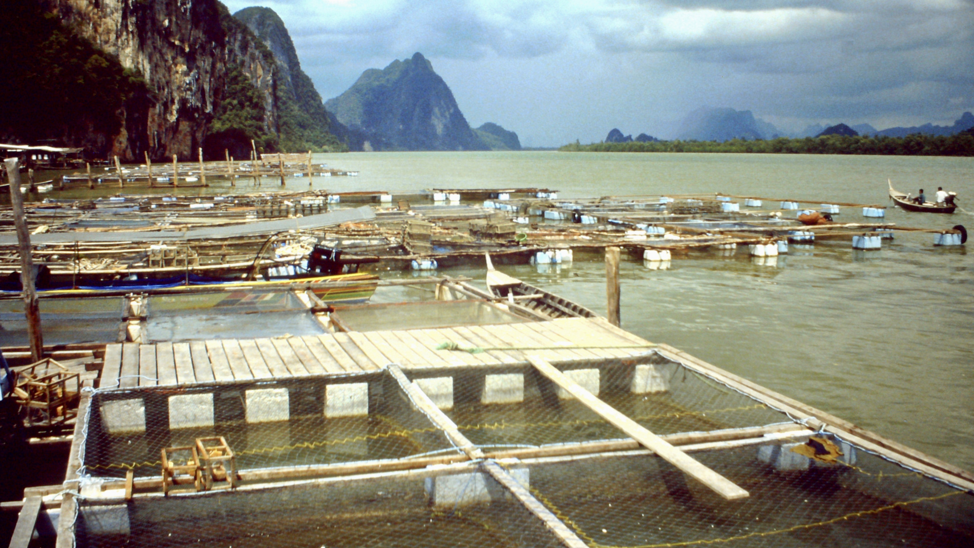 Thailand (1988), Fischzucht Krabi