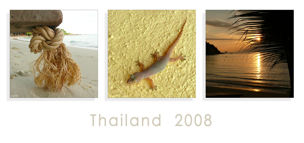 thailand 2008 (#1)