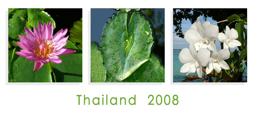 thailand 2008 (#2)