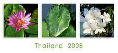 thailand 2008 (#2)