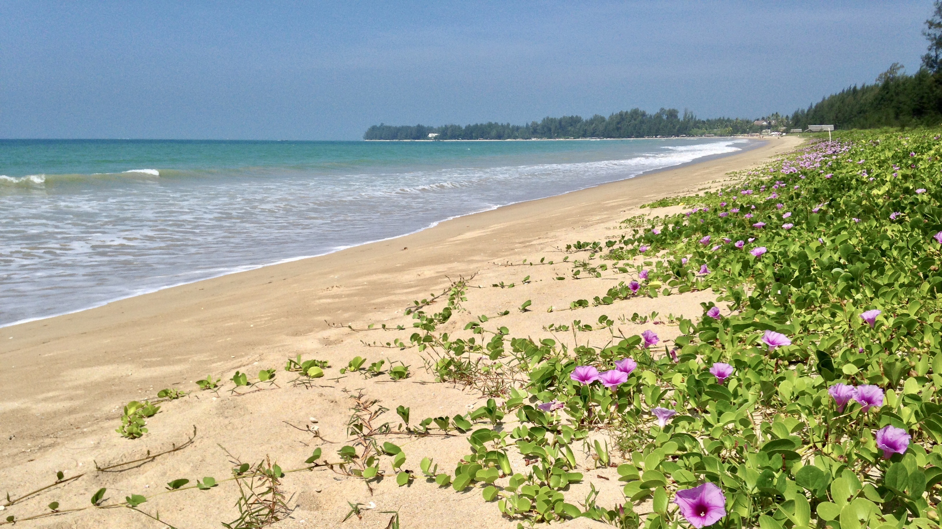 Thailand (2014), Bang Niang Beach