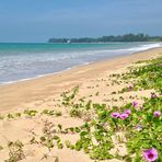 Thailand (2014), Bang Niang Beach