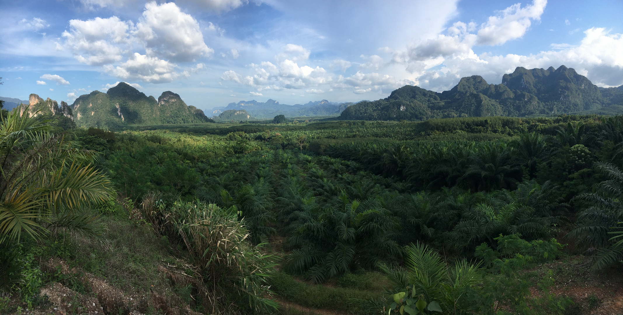 Thailand (2017), Khao Sok NP