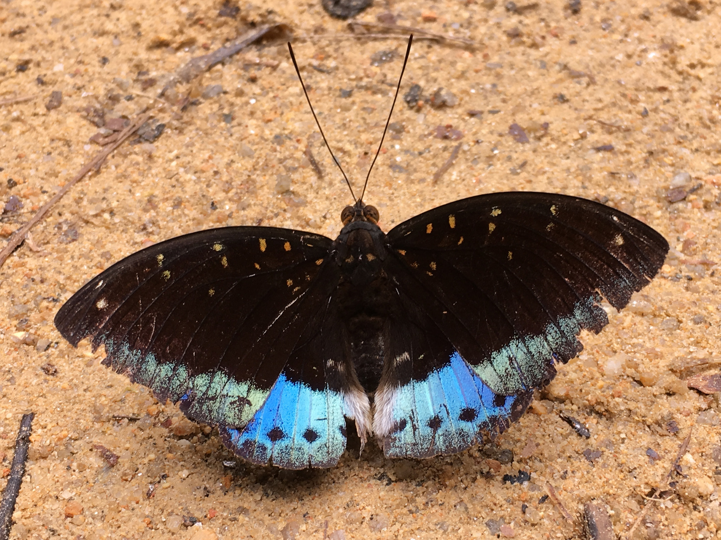 Thailand (2017), Wunder der Natur