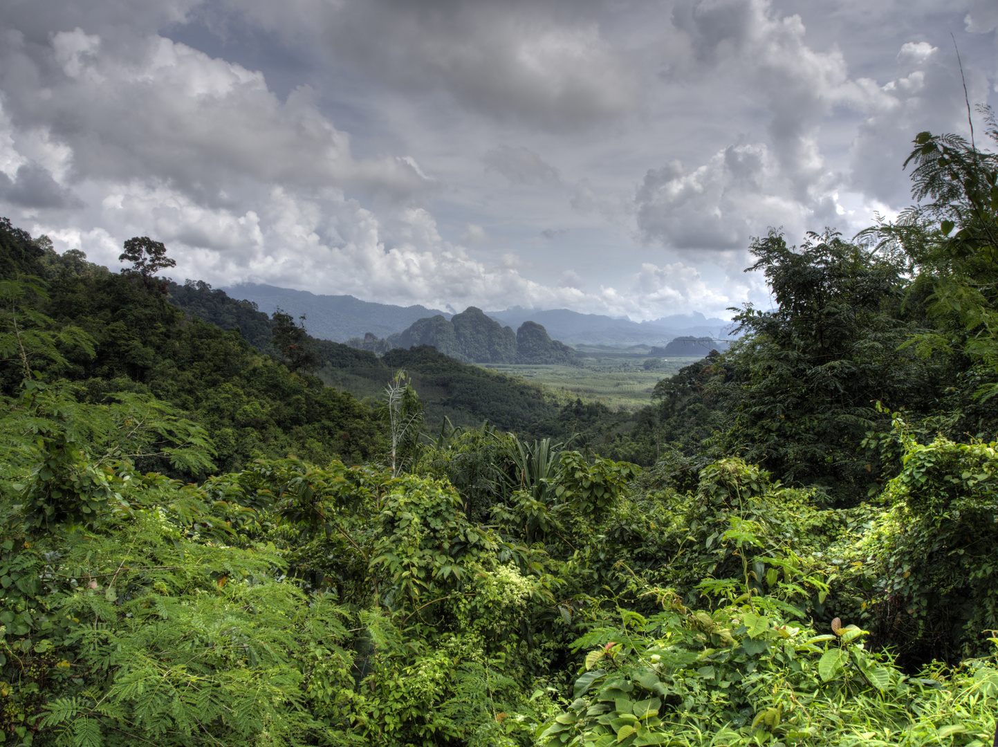 Thailand Khao Sak Natinalpark Wolkenpass