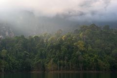 Thailand - Khao Sok National Park (2)