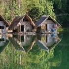 Thailand - Khao Sok National Park (4)