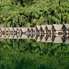 Thailand - Khao Sok National Park (5)