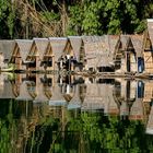 Thailand - Khao Sok National Park (6)