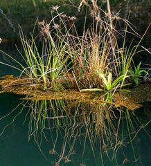 Thailand - Khao Sok National Park (7)