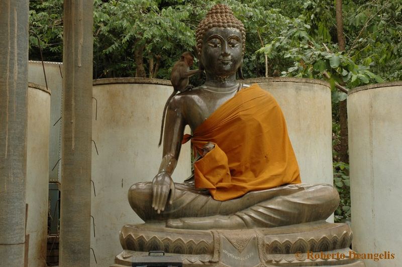 Thailand: Phetchaburi - monkeys praying