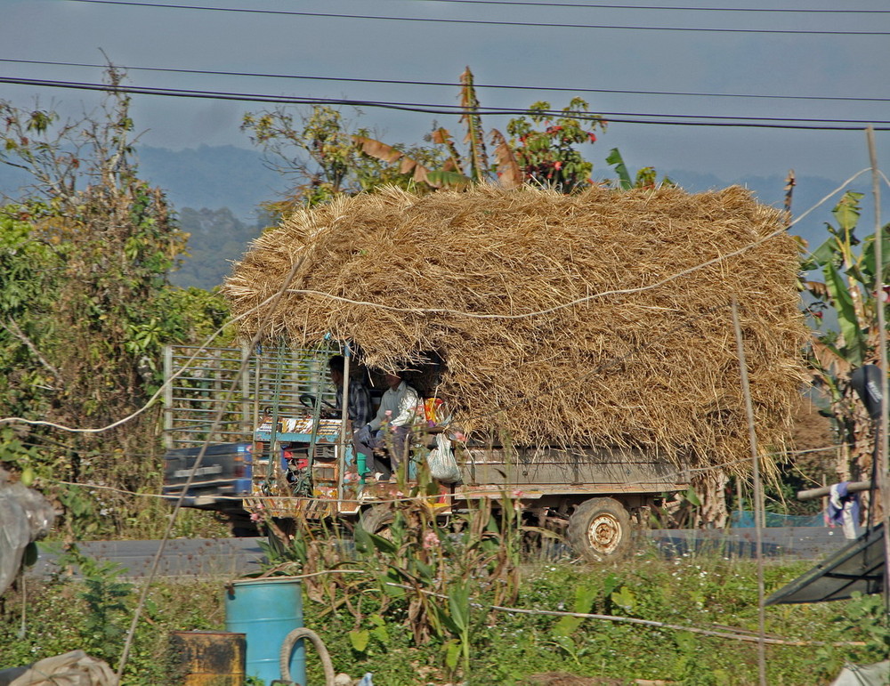 Thailand, Reisstroh