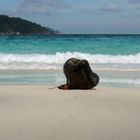 Thailand, Similan Islands