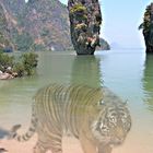 Thailand-Tiger