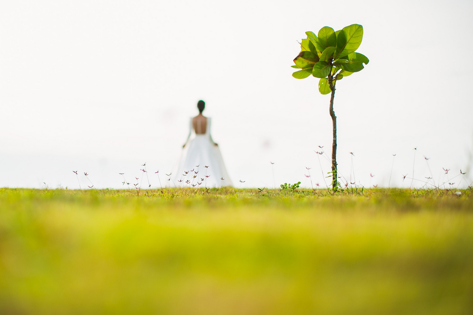 Thailand Wedding