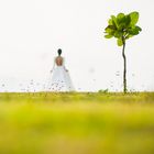 Thailand Wedding