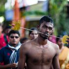 Thaipusam 11