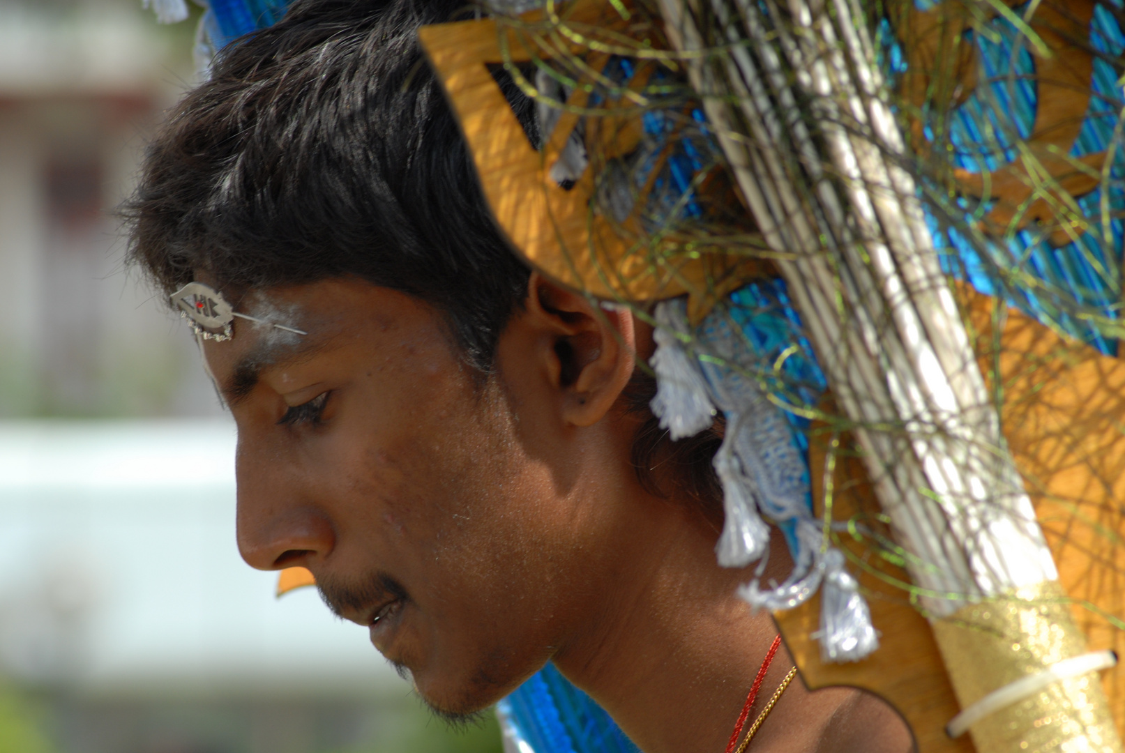 Thaipusam 2008 in Singapur 2