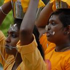 Thaipusam 2008 in Singapur