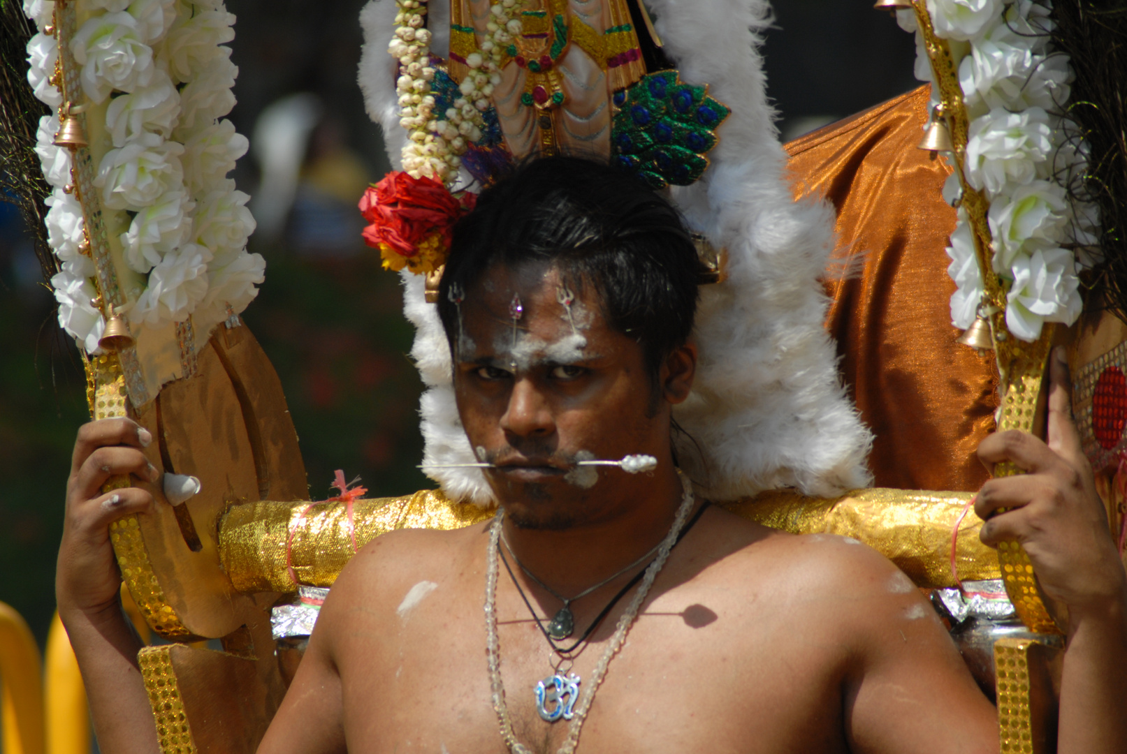 Thaipusam 2012 in Singapur 2