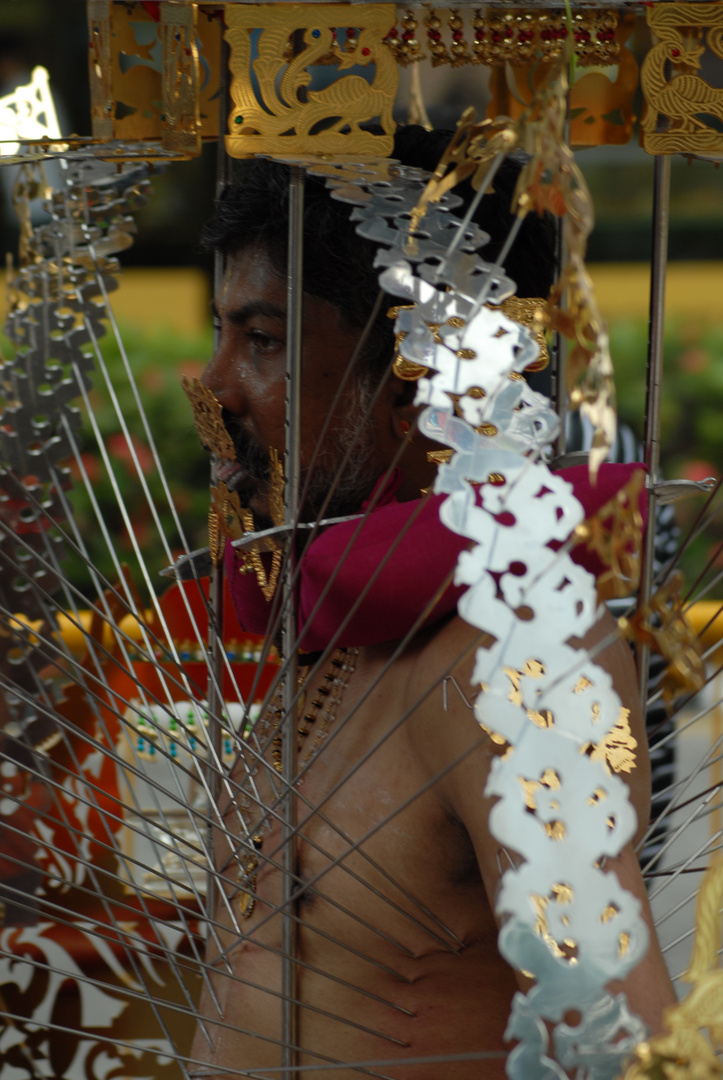 Thaipusam 2012 in Singapur 3