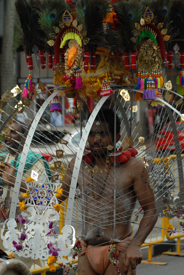 Thaipusam 2012 in Singapur 4