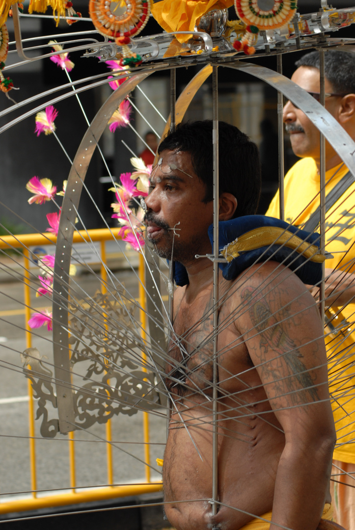 Thaipusam 2012 in Singapur 5