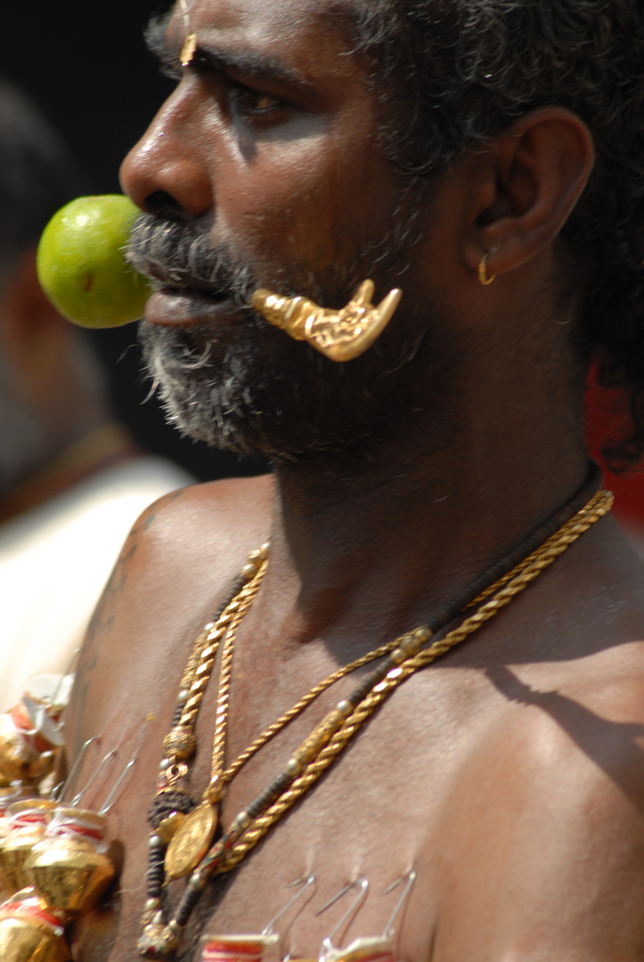 Thaipusam 2012 in Singapur 6