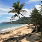 Thala Beach, Port Douglas