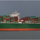 THALAHASSA EPIDA / Container Vessel / Rotterdam