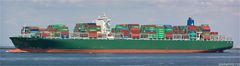 THALASSA PISTIS / Container Ship / Maasmond / Rotterdam