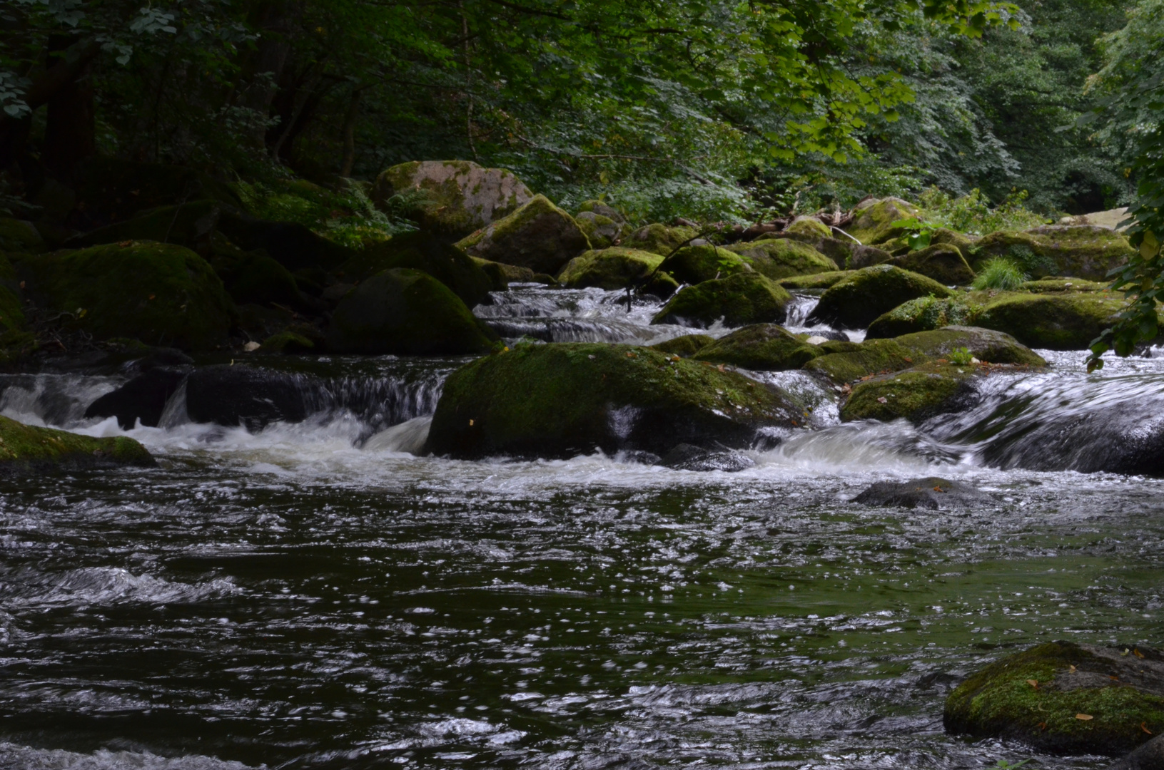 Thale / Harz